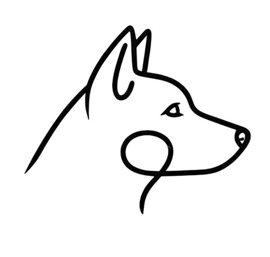StudPilot Logo